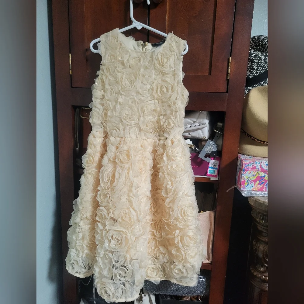 Flower Girl Dress, Roses Gold , PartyDres size 8 - Picture 3 of 14